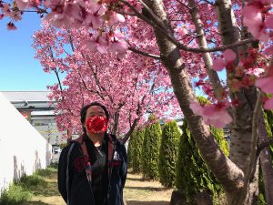 路地で見つけた今年の桜＆広規マスク（２）