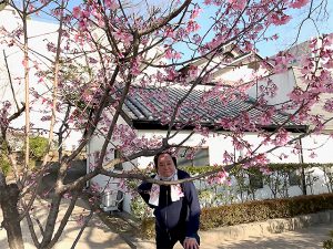 さくら開花宣言が出て、色づく街のさくらから山桜まで今年は長く桜が見られそうですね。